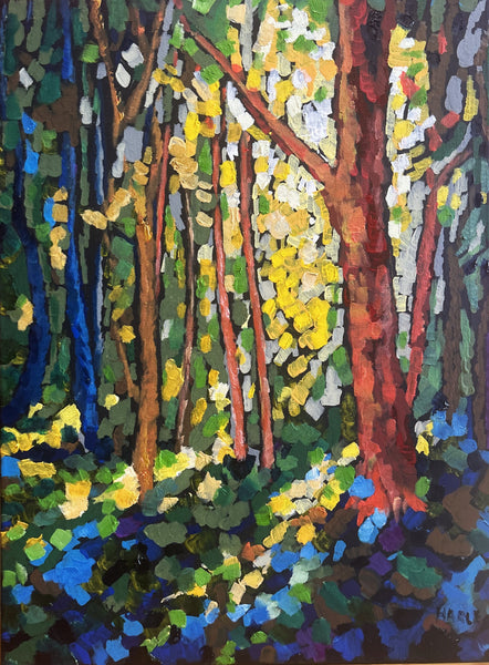 Forest Light