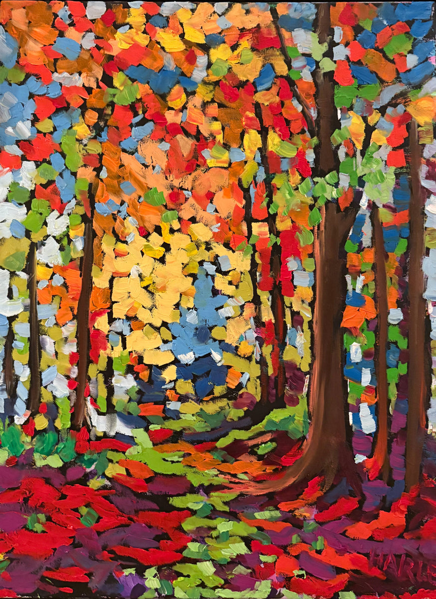 Spectrum Trail – Tom Harle ART